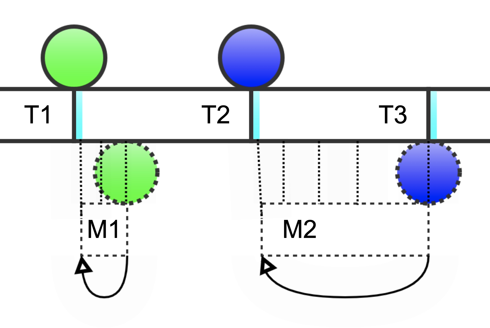 Heartbeat Diagram 7